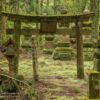 Friedhof von Okunoin, Koyasan - Japan