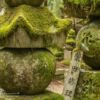 Friedhof von Okunoin, Koyasan - Japan