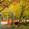 Eireiden-Tempel mit Friedhofs-Bereich bei Koyasan (Mt Koya) in Wakayama, Japan