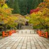 Eireiden-Tempel mit Friedhofs-Bereich bei Koyasan (Mt Koya) in Wakayama, Japan
