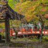 Eireiden-Tempel mit Friedhofs-Bereich bei Koyasan (Mt Koya) in Wakayama, Japan