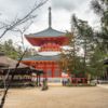Konpon Daito, Koyasan - Japan