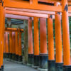 Weg zum Fushimi-Inari Taisha-Schrein, Fushimi, Kyoto - Japan