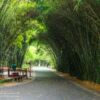 Chengdu Research Base of Giant Panda Breeding
