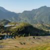 Reisfelder bei Juhne, Yunhe, Lishui, Zhejiang, China Reisfelder bei Juhne, Yunhe, Lishui, Zhejiang, China