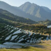 Reisfelder bei Juhne, Yunhe, Lishui, Zhejiang, China Reisfelder bei Juhne, Yunhe, Lishui, Zhejiang, China