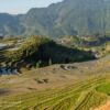 Reisfelder bei Juhne, Yunhe, Lishui, Zhejiang, China Reisfelder bei Juhne, Yunhe, Lishui, Zhejiang, China