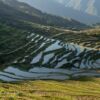 Reisfelder bei Juhne, Yunhe, Lishui, Zhejiang, China Reisfelder bei Juhne, Yunhe, Lishui, Zhejiang, China