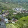 Yunhe, Lishui, Zhejiang, China Reisfelder bei Juhne, Yunhe, Lishui, Zhejiang, China