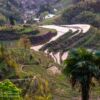 Reisterrasseen bei Yunhe, Lishui, Zhejiang, China Reisterrasseen bei Yunhe, Lishui, Zhejiang, China