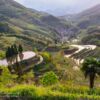Reisterrasseen bei Yunhe, Lishui, Zhejiang, China Reisterrasseen bei Yunhe, Lishui, Zhejiang, China