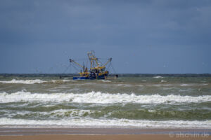 Photo by Alexander Schimmeck • Strand • Egmond aan ZeeEgmond aan Zee, Noord-Holland - Niederlande • GPS 52°38'55.884" N 4°37'29.568" E • alschim.de Egmond aan Zee, Niederlande