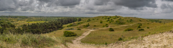 Photo by Alexander Schimmeck • Dünenreservat • Egmond aan Zee, Noord-Holland - Niederlande • GPS 52°36'37.062" N 4°38'12.714" E • alschim.de