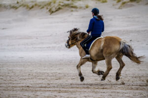 Photo by Alexander Schimmeck • Reiterin Strand • Egmond aan ZeeEgmond aan Zee, Noord-Holland - Niederlande• GPS 52°36'2.4318" N 4°36'55.7274" E • alschim.de